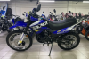 Racer Panther RC300-GY8X, 2024 г.