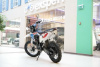 Avantis Enduro 250, 2025 г.