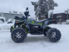 Motoland Wild Track X PRO, 2026 г.