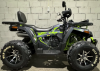 Motoland Wild Track 200 X PRO, 2025 г.