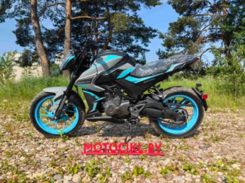 Motoland NK 300 STREET, 2026 г.
