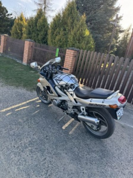 Kawasaki ZZR, 2002 г.