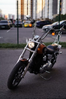 Harley-Davidson Dyna Low Rider, 2008 г.
