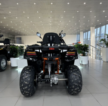 AMOTO E008 AU 300 carb, 2024 г.
