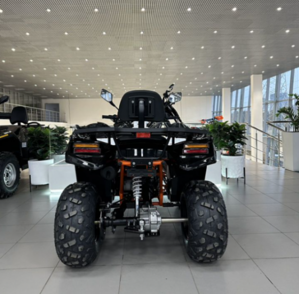 AMOTO E008 AU 300 carb, 2024 г.