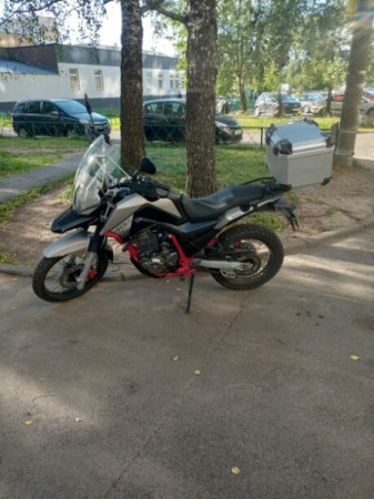 Минск Goose, 2019 г.
