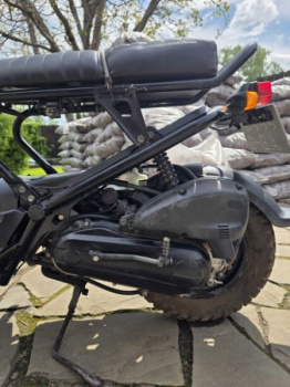 Honda Zoomer, 1999 г.