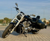 Harley-Davidson V-Rod Muscle 300!, 2016 г.