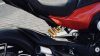 Ducati Diavel V4, 2024 г.