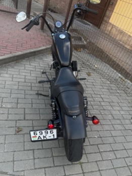 Harley-Davidson Sportster, 2013 г.