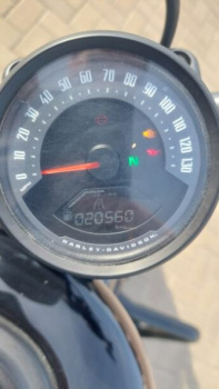 Harley-Davidson Nightster RH975, 2024 г.