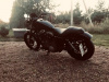 Harley-Davidson Sportster XL1200, 2007 г.
