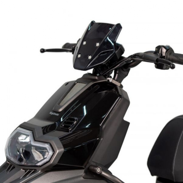 Regulmoto BWX (LJ-3), 2026 г.