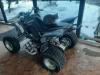 Yamaha Raptor, 2008 г.