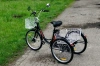 AVM E-ALFA TRIKE 24, 2026 г.
