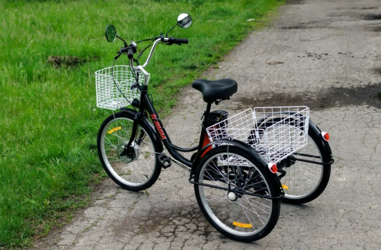  AVM E-ALFA TRIKE 24, 2026 г.