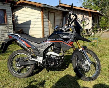 Racer Ranger, 2024 г.