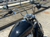Harley-Davidson Softail Standard, 2023 г.