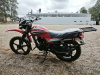 Motoland Forester 200, 2026 г.