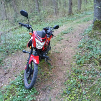 ROCKOT BASIC 125, 2024 г.