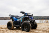 Sharmax Activator 250, 2025 г.