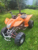 Bashan ATV, 2008 г.