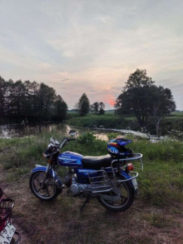 Sabur SB, 2014 г.