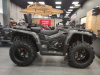 AODES (ODES) ATV 1000, 2025 г.