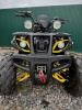 Storm 200 Wild Track Lux, 2025 г.