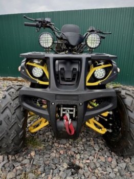 Storm 200 Wild Track Lux, 2025 г.