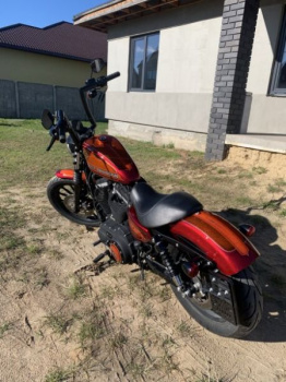 Harley-Davidson Sportster, 2013 г.