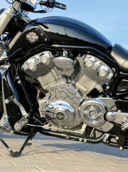Harley-Davidson V-Rod Muscle 300!, 2016 г.