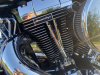 Harley-Davidson Softail FXSTD, 2006 г.