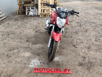 Racer Nitro RC250CK, 2026 г.
