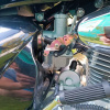 Motoland Wolf XL250-A, 2023 г.