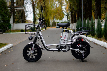  AVM E-ALFA Fat, 2026 г.
