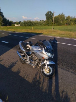 Suzuki GSF, 2003 г.