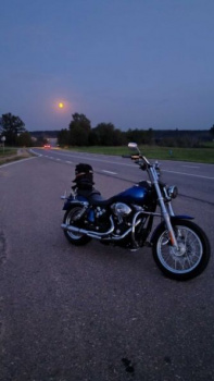 Harley-Davidson Dyna street Bob fxdbil, 2006 г.