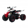 Motoland Dakar Rally 250CC, 2023 г.