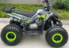 Racer RC RC125 Raptor, 2024 г.