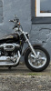 Harley-Davidson Sportster XL1200C anniversary, 2013 г.