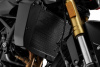 QJ MOTOR SRK 550, 2026 г.