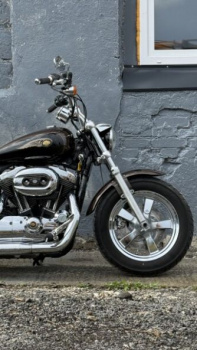 Harley-Davidson Sportster XL1200C anniversary, 2013 г.