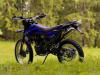 Racer ZWC2-300B, 2026 г.