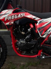 Progasi SUPER MAX 300 PRO моточасы, 2025 г.