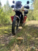 Kawasaki KLE, 2005 г.