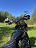 Harley-Davidson Softail Street Bob FXBB, 2019 г.