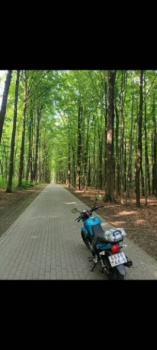 Stels RK125, 2024 г.