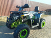 Motoland Wild Track Lux 200, 2026 г.