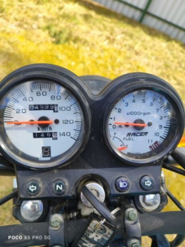 Racer Tiger, 2024 г.